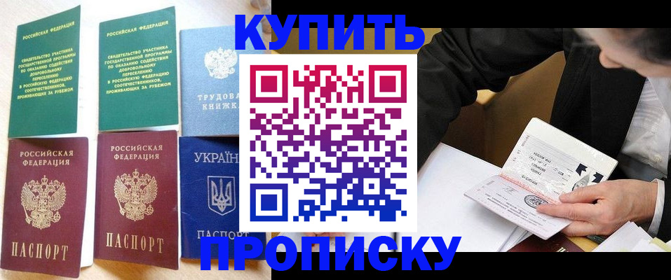 прописка для школы в Калининграде